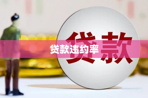 永胜贷款违约率