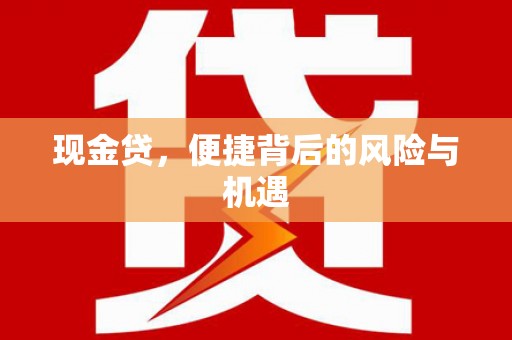 永胜现金贷，便捷背后的风险与机遇