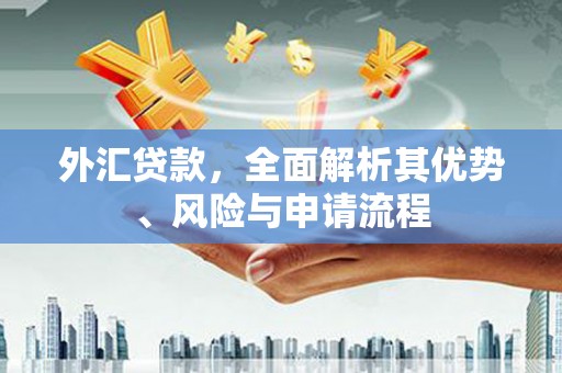 永胜外汇贷款，全面解析其优势、风险与申请流程
