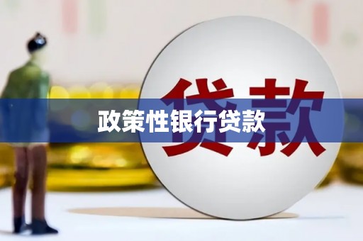 永胜政策性银行贷款
