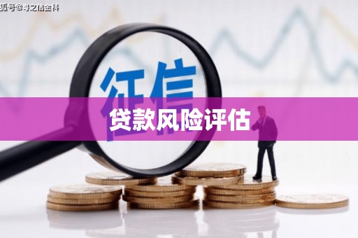 永胜贷款风险评估