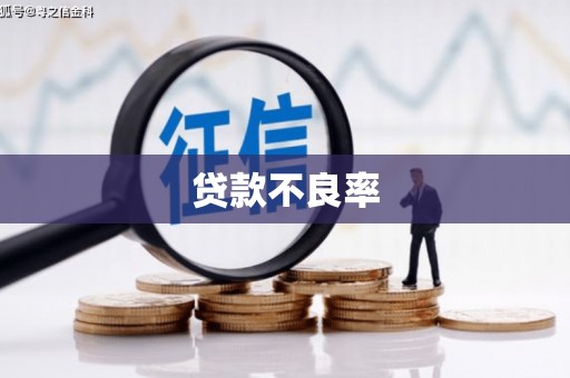 永胜贷款不良率
