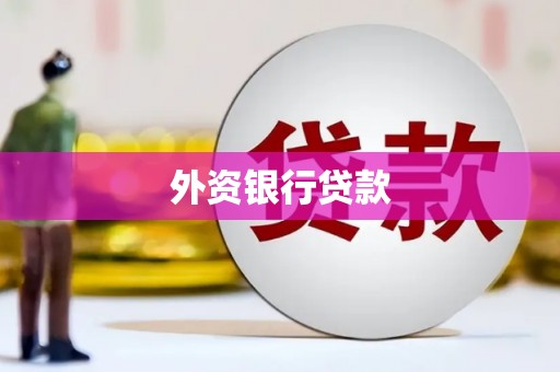 永胜外资银行贷款