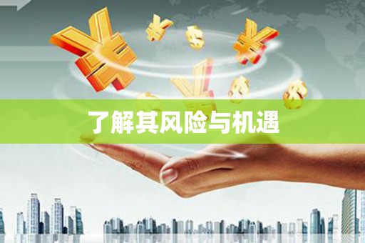 永胜了解其风险与机遇