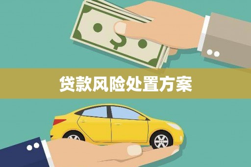 永胜贷款风险处置方案