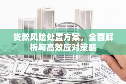 永胜贷款风险处置方案，全面解析与高效应对策略