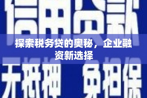 永胜探索税务贷的奥秘，企业融资新选择