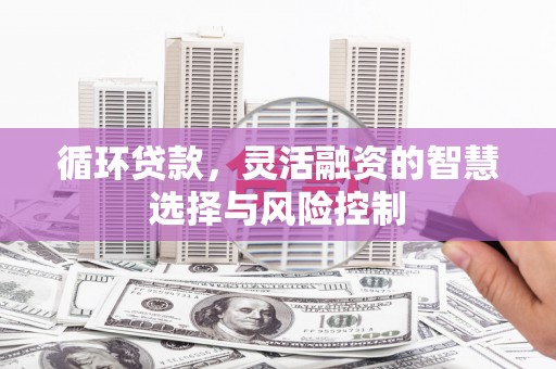 永胜循环贷款，灵活融资的智慧选择与风险控制