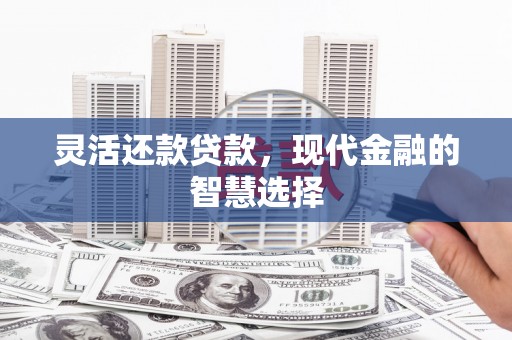 永胜灵活还款贷款，现代金融的智慧选择
