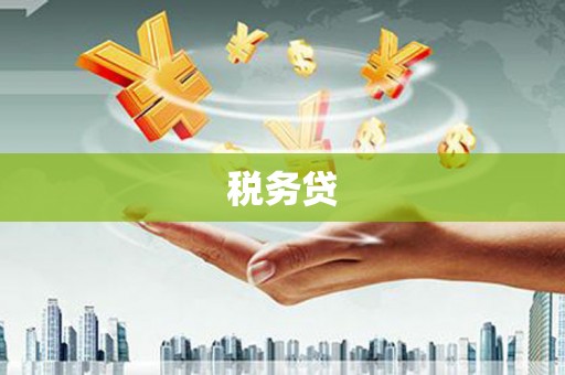 永胜税务贷