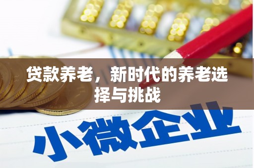 永胜贷款养老，新时代的养老选择与挑战