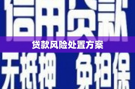 永胜贷款风险处置方案