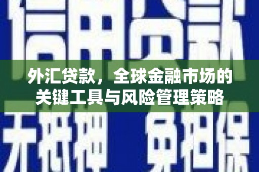永胜外汇贷款，全球金融市场的关键工具与风险管理策略