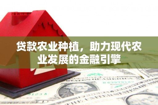 永胜贷款农业种植，助力现代农业发展的金融引擎