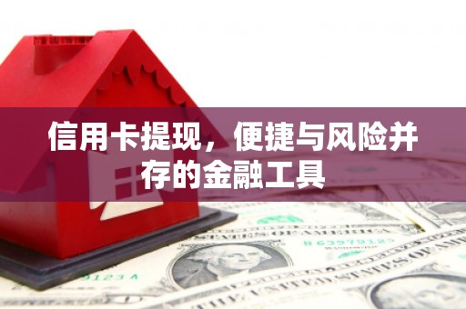 永胜信用卡提现，便捷与风险并存的金融工具