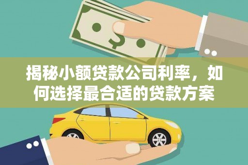 永胜揭秘小额贷款公司利率，如何选择最合适的贷款方案