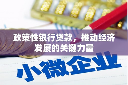 永胜政策性银行贷款，推动经济发展的关键力量