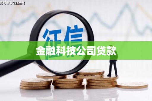 永胜金融科技公司贷款