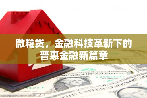永胜微粒贷，金融科技革新下的普惠金融新篇章