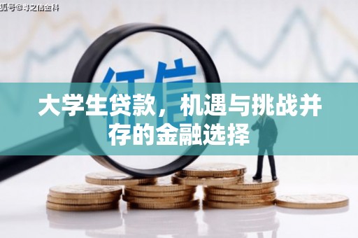 永胜大学生贷款，机遇与挑战并存的金融选择