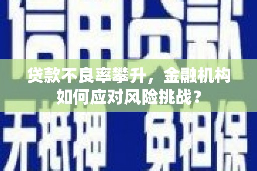 永胜贷款不良率攀升，金融机构如何应对风险挑战？
