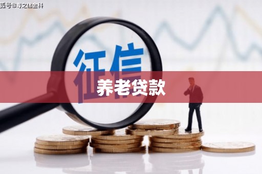 永胜养老贷款
