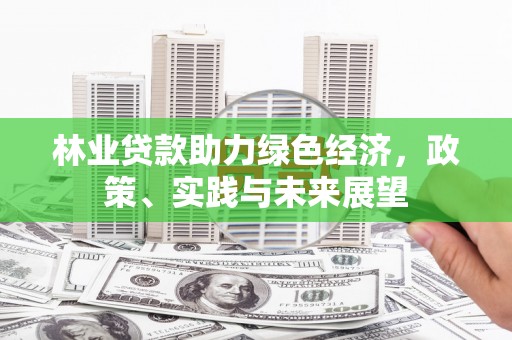 永胜林业贷款助力绿色经济，政策、实践与未来展望