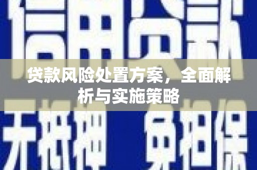 永胜贷款风险处置方案，全面解析与实施策略